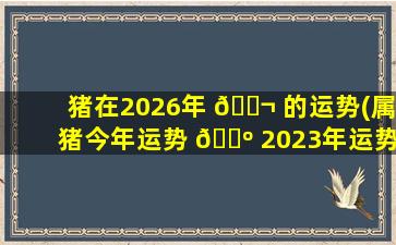猪在2026年 🐬 的运势(属猪今年运势 🐺 2023年运势)